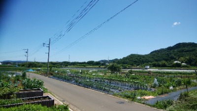 山田朋広03　大川村　れいほく